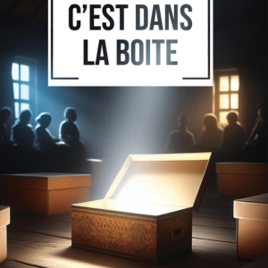 C'est dans la boîte (Poche)